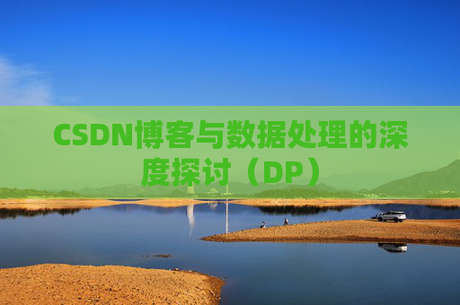 CSDN博客与数据处理的深度探讨（DP）